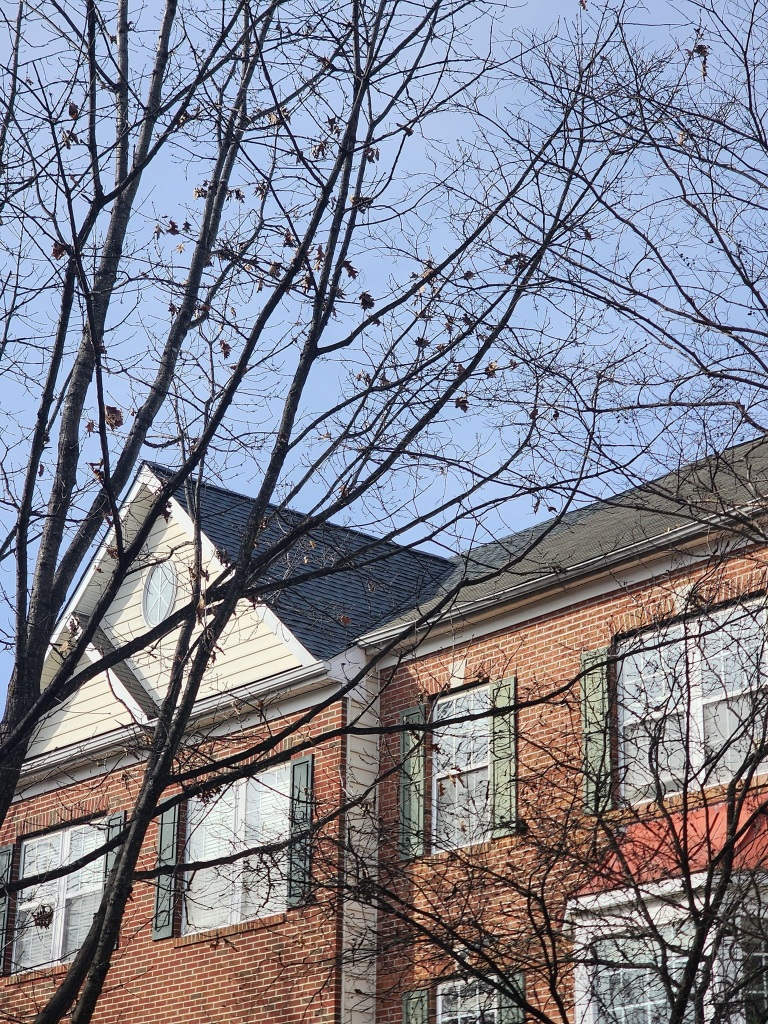 Brick house with tree branches in the foreground against a clear sky.