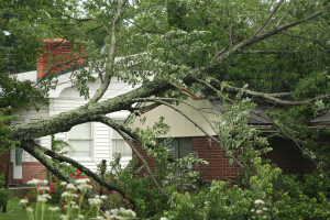 Fallen tree on suburban house after storm damage